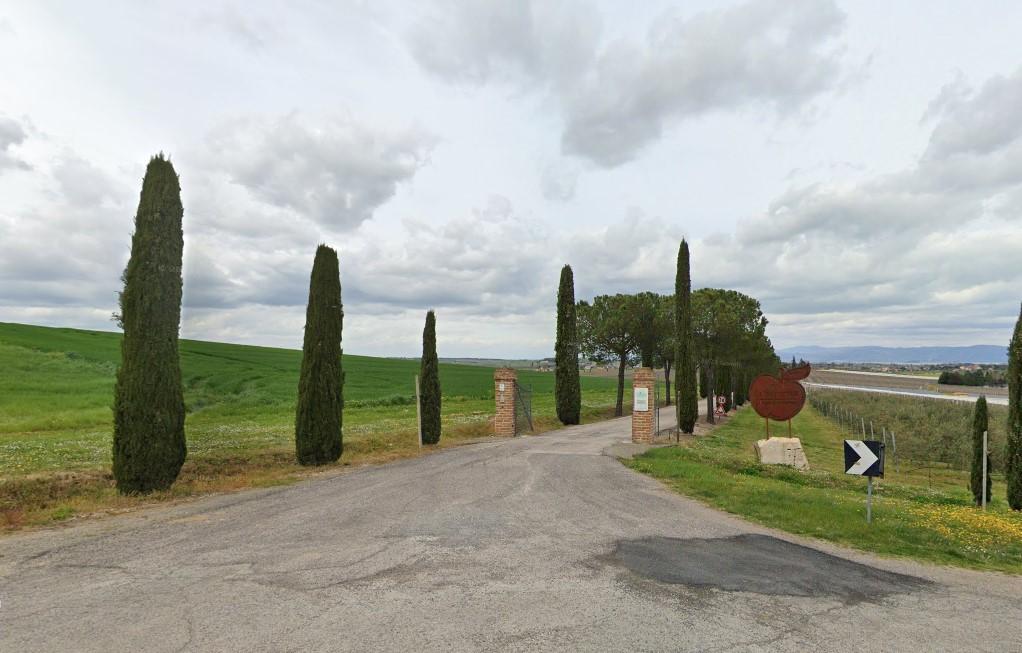 immobile TERRENO AGRICOLO ALL'ASTA IN VIA DEL LAVORO, PACIANO (PG) - 1