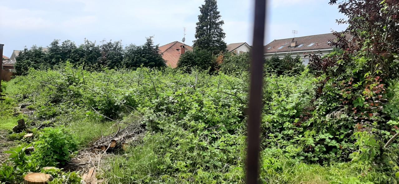 immobile TERRENO ALL'ASTA AL CONFINE CON LA VIA PO, LA LOGGIA (TO) - 2