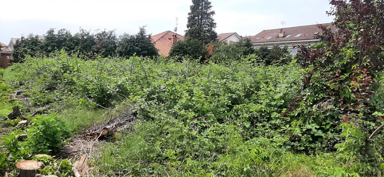 immobile TERRENO ALL'ASTA AL CONFINE CON LA VIA PO, LA LOGGIA (TO) - 3