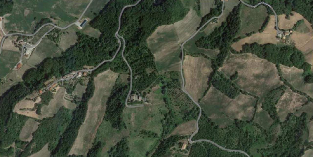 immobile TERRENI ALL'ASTA IN STRADA PER BERSATICO, LESIGNANO DE' BAGNI (PR) - 3