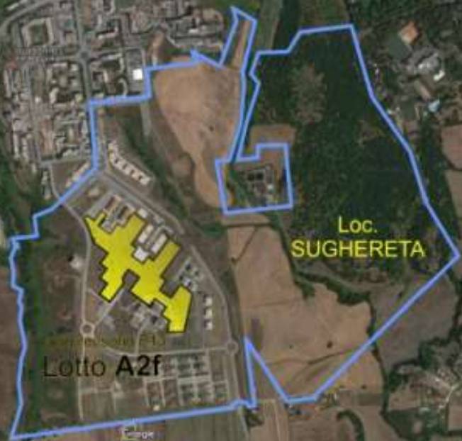 immobile SUOLI EDIFICABILI ALL'ASTA IN LOCALITA' SUGHERETA, POMEZIA (RM) - 3