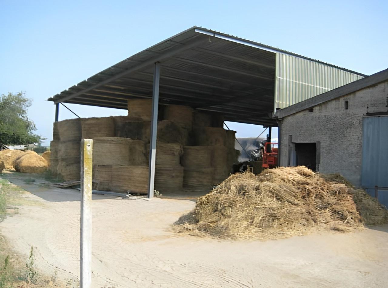 immobile AZIENDA AGRICOLA ALL'ASTA IN STRADA PROVINCIALE AMOROSI, AMOROSI (BN) - 1
