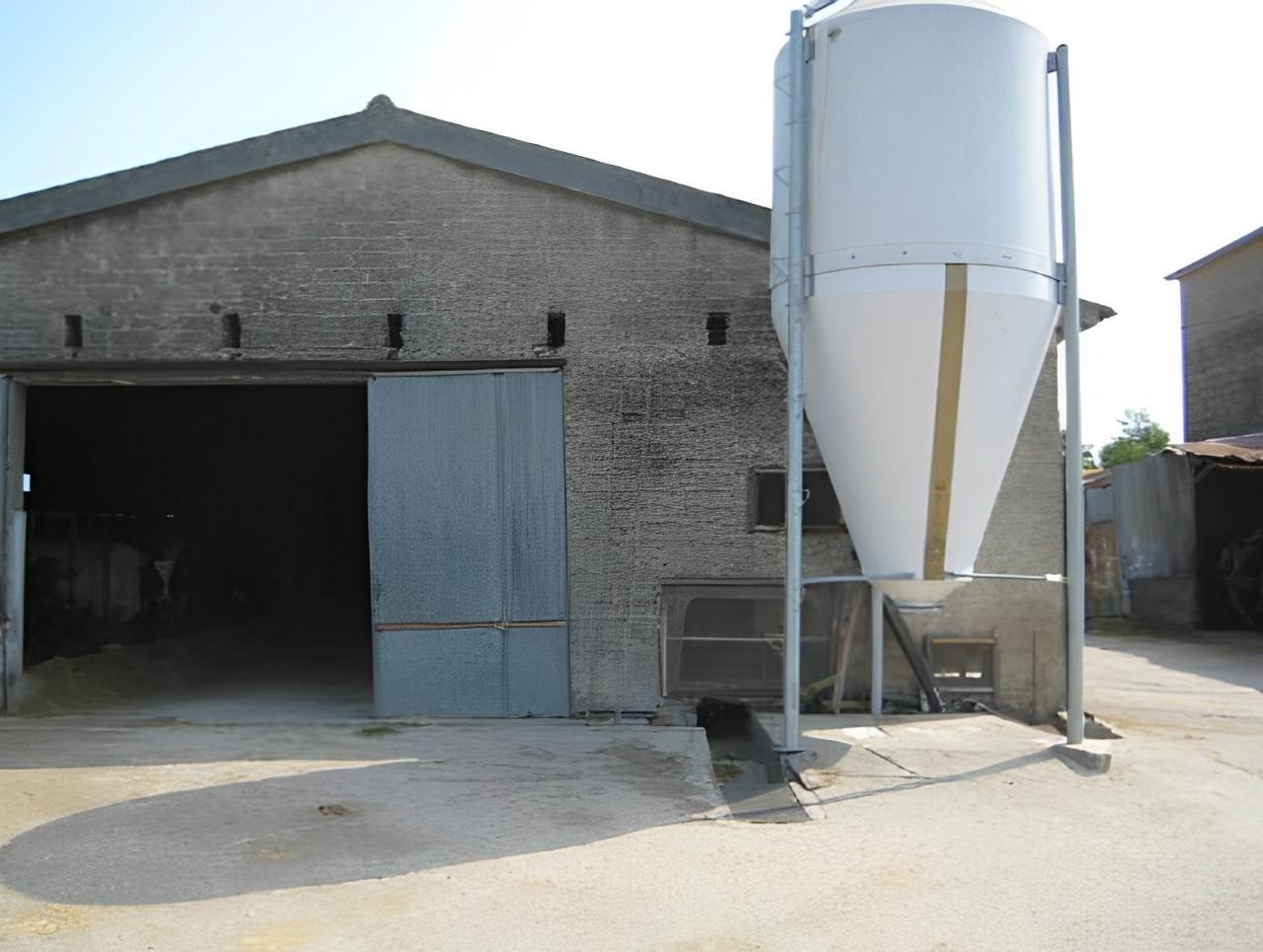 immobile AZIENDA AGRICOLA ALL'ASTA IN STRADA PROVINCIALE AMOROSI, AMOROSI (BN) - 2