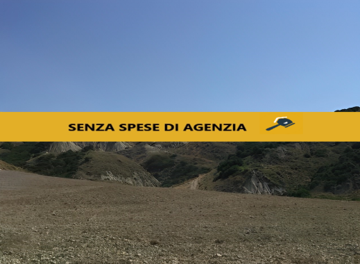 immobile AMPI TERRENI ALL'ASTA IN CONTRADA SALANDRELLA, FERRANDINA (MT) - 1