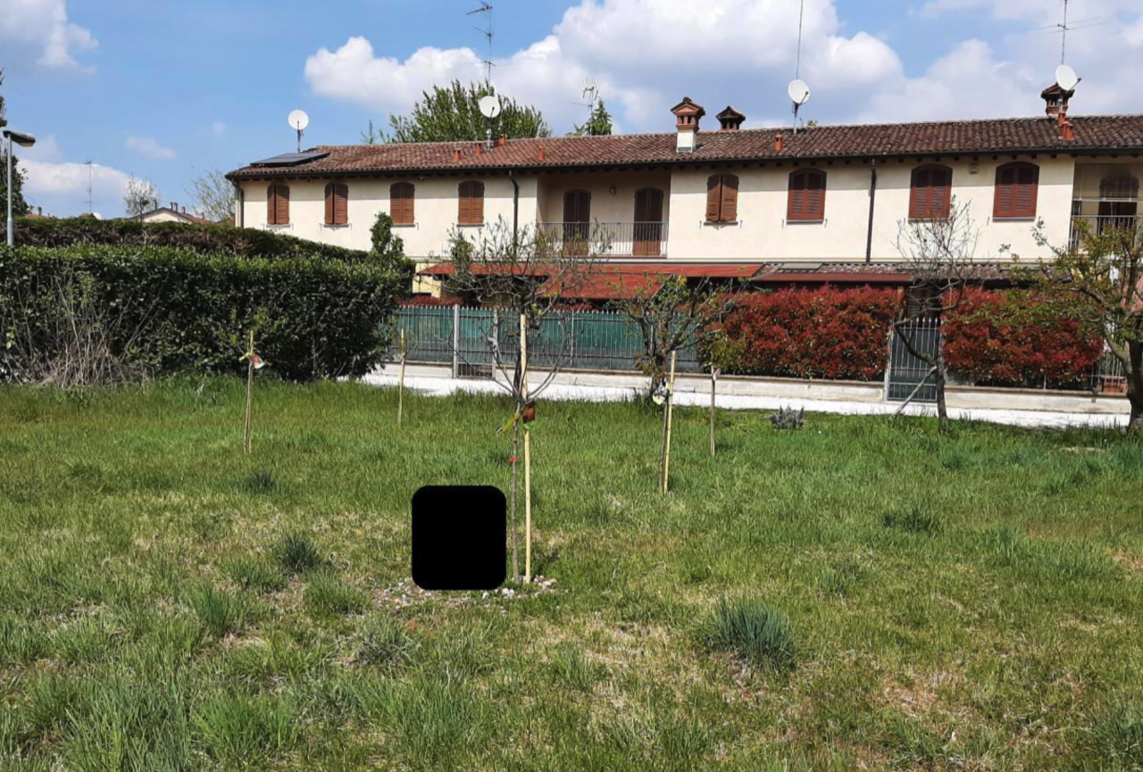 immobile TERRENO ALL'ASTA NELLA PRIMA PERIFERIA DI CREMONA (CR) - 3