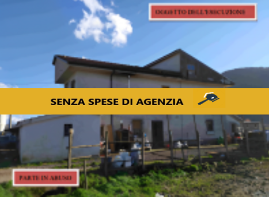 immobile ABITAZIONE ALL'ASTA CON DEPOSITO IN VIA TEMPA PIZZUTA, SASSANO (SA) - 1