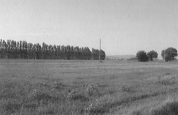 immobile TERRENO EDIFICABILE ALL'ASTA IN CONTRADA SANTA MARIA IN POTENZA, PORTO RECANATI (MC) - 3