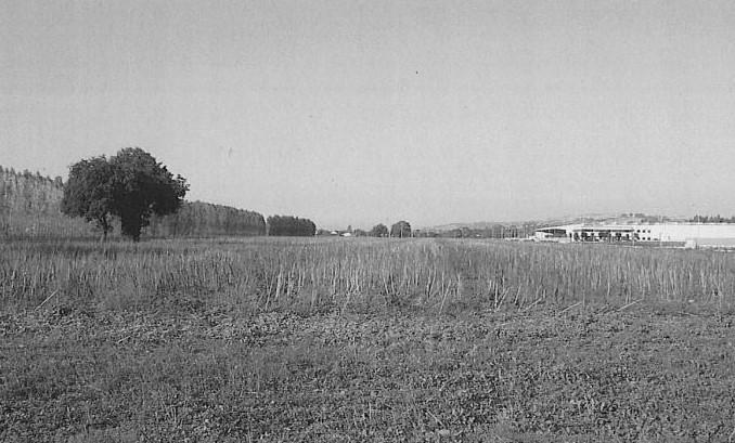 immobile TERRENO EDIFICABILE ALL'ASTA IN CONTRADA SANTA MARIA IN POTENZA, PORTO RECANATI (MC) - 4