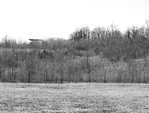 immobile TERRENO IN VENDITA ALL'ASTA IN LOCALITA' MIER, BELLUNO (BL) - 2